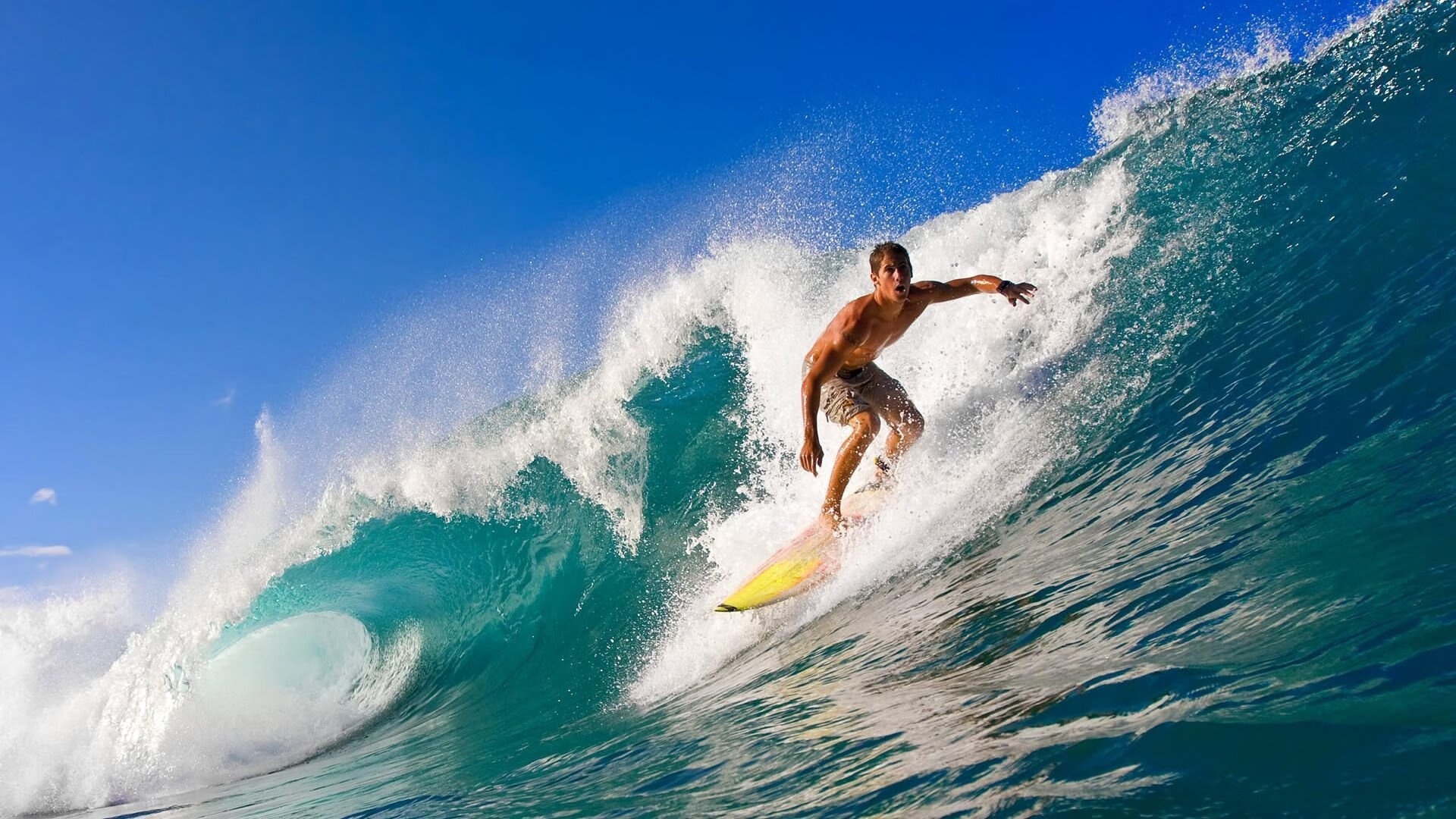 纳达尔法网夺冠 成就第14座大满贯传奇