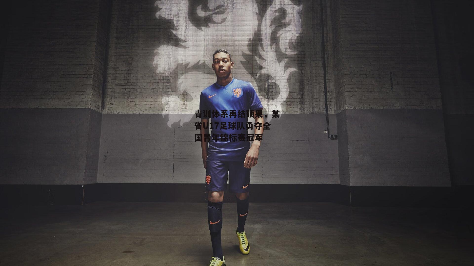 青训体系再结硕果，某省U17足球队勇夺全国青年锦标赛冠军