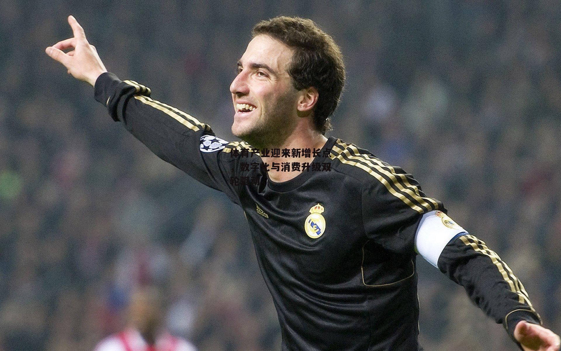 体育产业迎来新增长点,数字化与消费升级双轮驱动